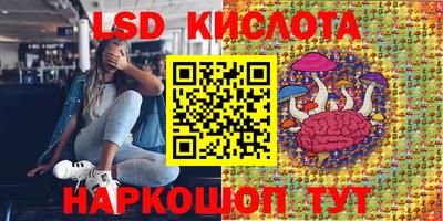 прущий лед Будённовск