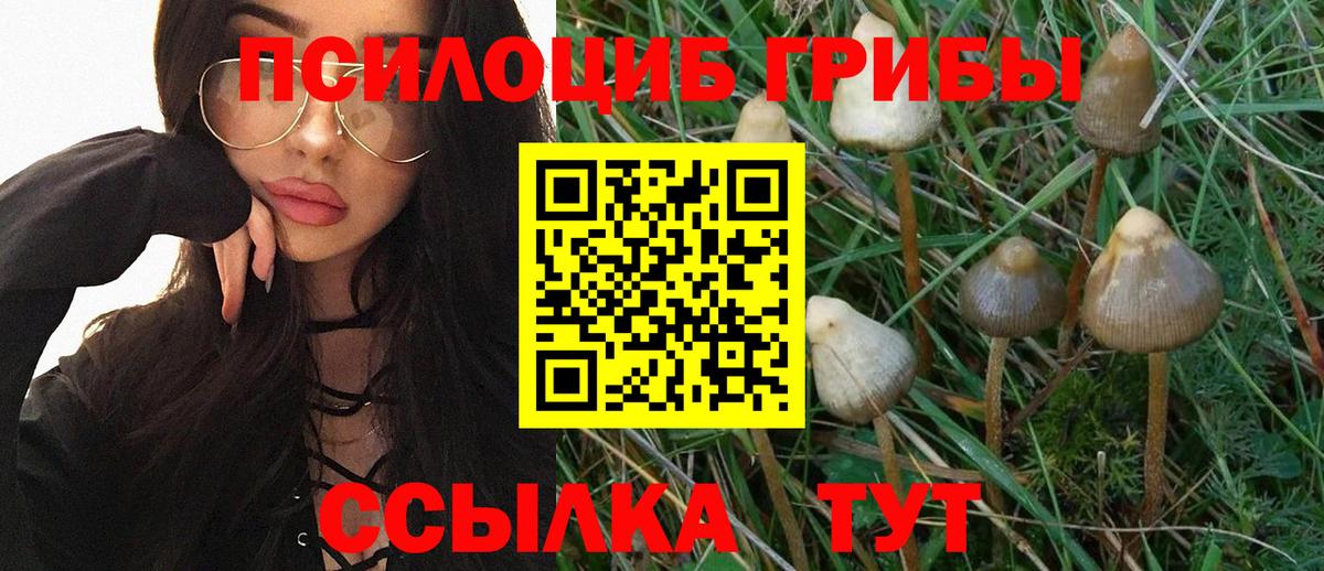 Псилоцибиновые грибы Psilocybe  Псилоцибиновые грибы Magic Shrooms  Сланцы  Вход с VPN 