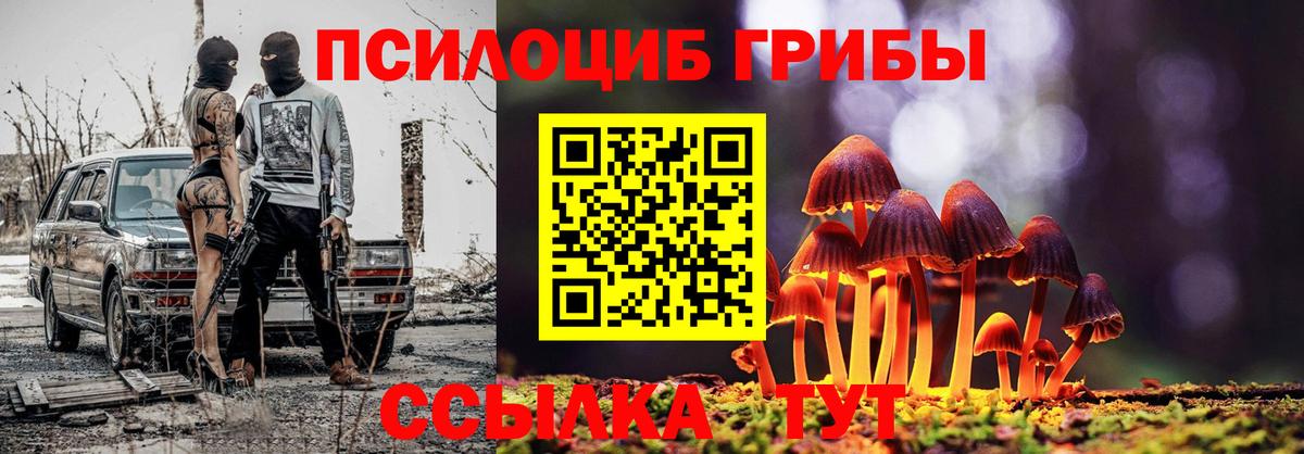 Галлюциногенные грибы Psilocybine cubensis Сланцы